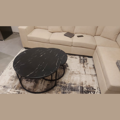 Wooden Twist Lumivyx Elegant Modern Stylish Marble Top Round Coffee Table with Durable Metal Base (Set of 2)