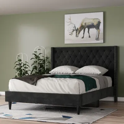 Jabaris Upholstered Bed - Black, Queen Size Without Mattress