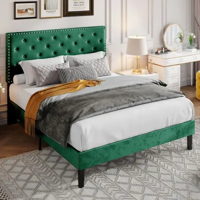 Divino Tufted Upholstered Platform Bed - Green, Queen Size Without Mattress