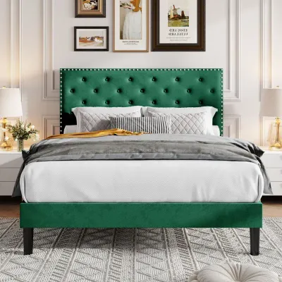 Divino Tufted Upholstered Platform Bed - Green, Super King Without Mattress