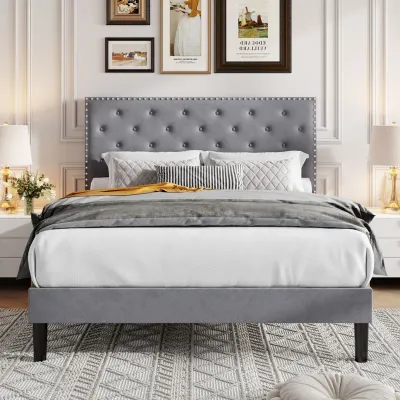 Divino Tufted Upholstered Platform Bed - Grey, Queen Size Without Mattress