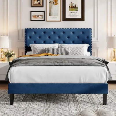 Divino Tufted Upholstered Platform Bed - Navy Blue, Queen Size Without Mattress