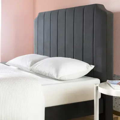 Dunphy Velvet Upholstered Modern Bed - Black, King Size Without Mattress