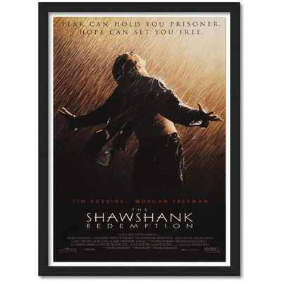 Artificial Wood Shawshank Redemption Movie Poster Frame (10 X 13 Inch, Multicolour)