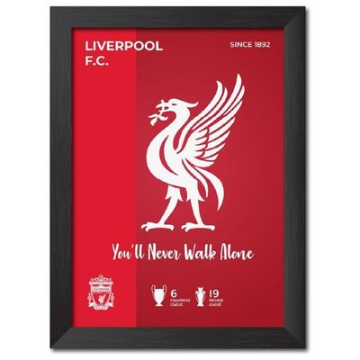 Liverpool Fc White River Bird 3D D Logo Football Club Laminated Poster Framed Paintings With Matt Finish Redesigned With Thick D Frames (Black, 9Inches X 12Inches)