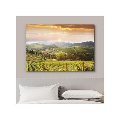 Vineyard Landscape In Tuscany Italy - Canvas Art Wall Art - 32" X 48"