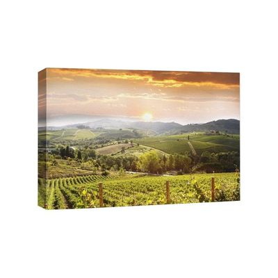Vineyard Landscape In Tuscany Italy - Canvas Art Wall Art - 32" X 48"