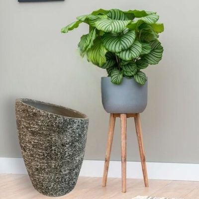 V3 Vase- 36×25×48 CM