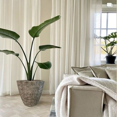 Schonder V4 Vase- 38×25×48 CM