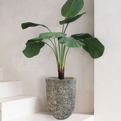 V6 Vase - 29×25×42 CM