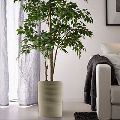 Vases