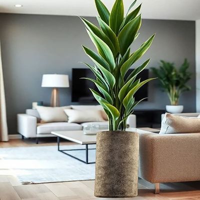 Vases