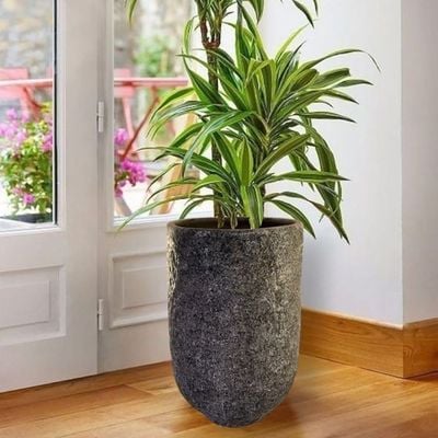 V21 Vase - 36×25×55 CM