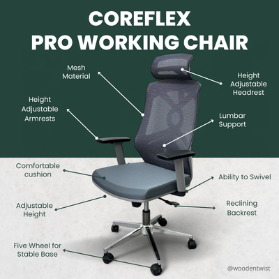 CoreFlex Pro Ergonomic Mesh Office Chair with Lumbar Support, 360° Swivel, Reclining High Back (Grey)
