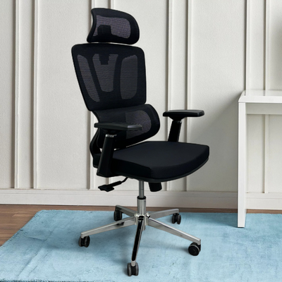 Brocelle Egro Working Office Chair with 360° Swivel & Recline Mesh Chair (Black)