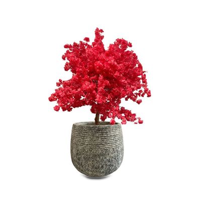 Cherry Blossom-150×120×120CM-Red Artificial Tree