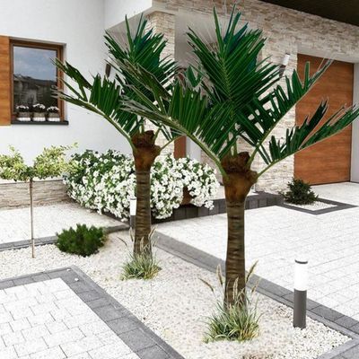 Coconut Palm Tree-250×300×300CM-Green Artificial Tree
