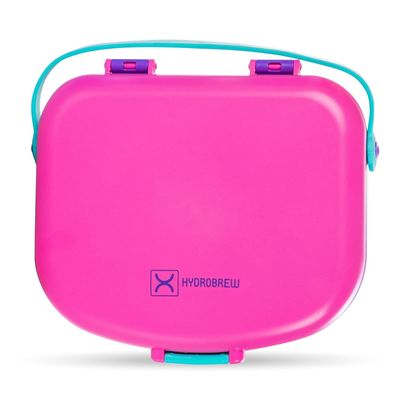 HYDROBREW 4 Compartment Bento Lunch Box w/ Spoon & Fork Set - Fuchsia