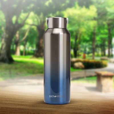 Eazy Kids Stainless Steel Water Bottle, 710ml Silver