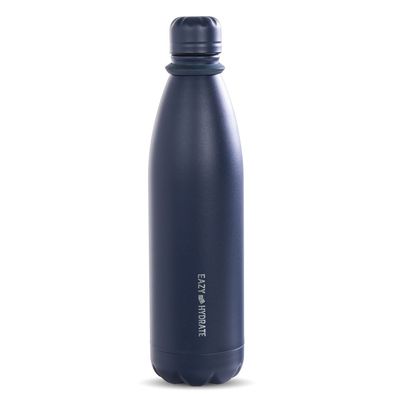 Eazy Kids Steel Water Bottle, 1L Blue