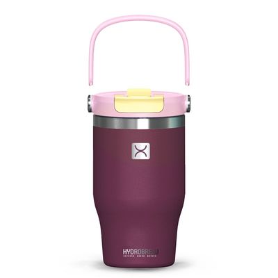 Hydrobrew Vacuum Insulated Tumbler w/ handle, 500ml Purple