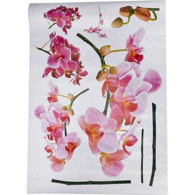 StickieArt Orchids Wall Stickers, Home Decoration DIY Removable Wall Decals for Living Room Bedroom, Medium, 50 x 70 cm, STA-139