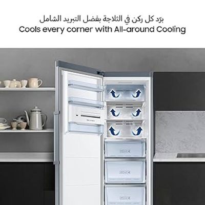 Samsung Upright Freezer 330 Liters RZ32M72407F/AE
