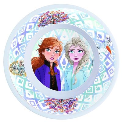 Disney Frozen II Elements Melamine Bowl W/O Rim
