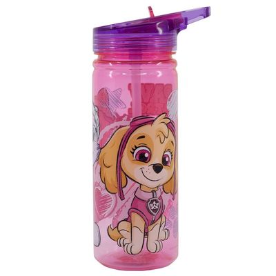 Nickelodeon Paw Patrol Girl Sketch Essence Plastic Ecozen Water Bottle - 580 Ml