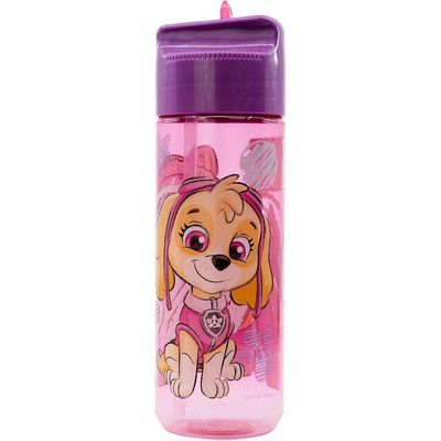 Nickelodeon Paw Patrol Girl Sketch Essence Plastic Ecozen Water Bottle - 540 Ml