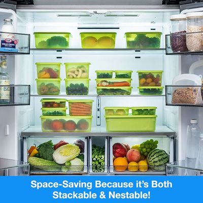 LocknLock Fresh Block Rectangle Container 330ml – 31-Day Freshness Solution, Antibacterial, Airtight & Stackable