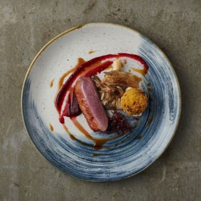 Churchill Stonecast Accents Evolve Coupe Plate 21cm, Blueberry - Set of 2