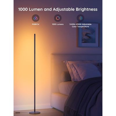 Govee RGBIC Smart Standing Modern Floor Lamp - Black