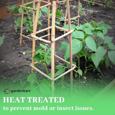 Bamboo Sticks for Plants - 60 Cm, 10 Pcs | Garden Sticks for Strong Support | Long Plant sticks for Plant Support Stakes (Slim, 10pcs, 60cm)