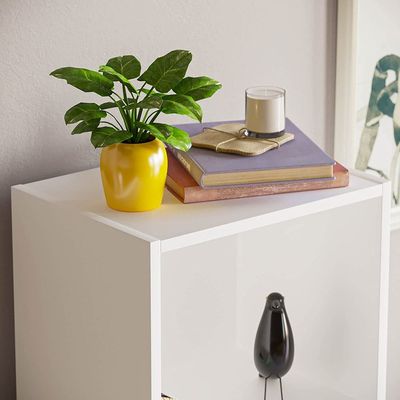 Bookcase and accessory Display Unit of wood 5Tier White