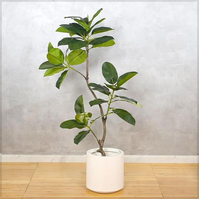 Artificial Rubber Plant, Faux Plant with Flexible Stems, Green Leaves, Simulated Trunk & Pot, Maintenance-Free & Long-Lasting Fake Tree, Waterproof & Odorless Fake Plant for Event Decor (120cm)