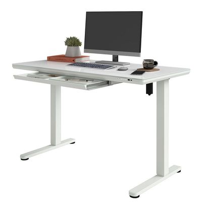 Premium Height Adjustable Standing Desk – Ergonomic Sit-Stand Workstation with Tempered Glass Top, Wireless Charging, USB & Type-C Ports, Storage Drawer – Modern Home Office Desk