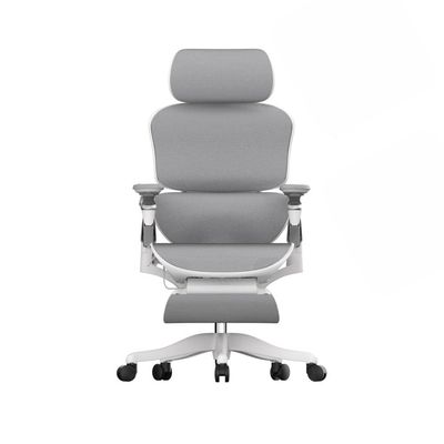 Skyland Ergonomic Office Chair - High-Back Mesh Design, 8D Armrests, Adjustable Lumbar Support & Footrest, One-Touch Zero Gravity Recline Technology - Executive Comfort for Long Work Hours