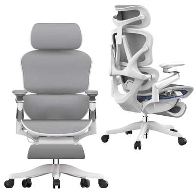 Skyland Ergonomic Office Chair - High-Back Mesh Design, 8D Armrests, Adjustable Lumbar Support & Footrest, One-Touch Zero Gravity Recline Technology - Executive Comfort for Long Work Hours