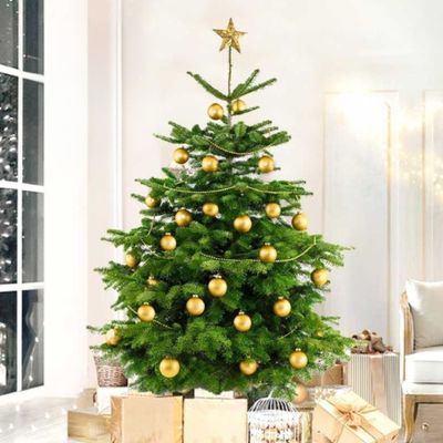 Fresh Premium Christmas Tree with Golden Decorations 230cm