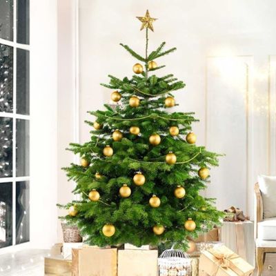 Fresh Premium Christmas Tree with Golden Decorations 150cm