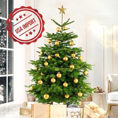 Fresh Premium Christmas Tree with Golden Decorations 150cm