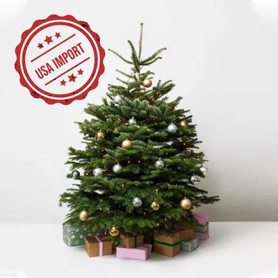 Fresh Premium Christmas Tree with Silver and Golden Decorations 180cm