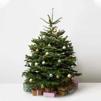 Fresh Premium Christmas Tree with Silver and Golden Decorations 180cm