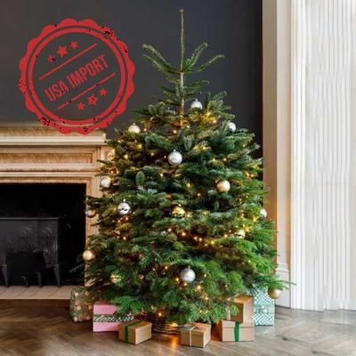 Fresh Premium Christmas Tree with Silver Decorations 180cm