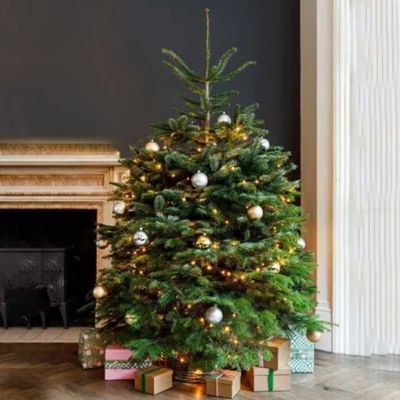Fresh Premium Christmas Tree with Silver Decorations 180cm