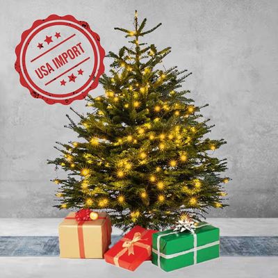 Fresh Premium Christmas Tree with LED Decorations 180cm