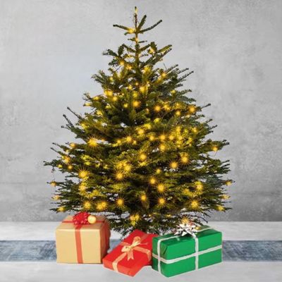 Fresh Premium Christmas Tree with LED Decorations 180cm