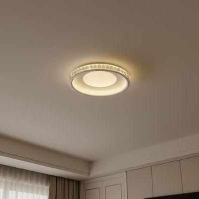 Iris Modern LED Celing Light-White Silver