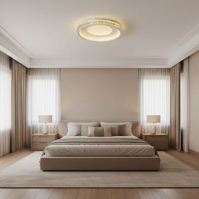 Iris Modern LED Celing Light-White Silver